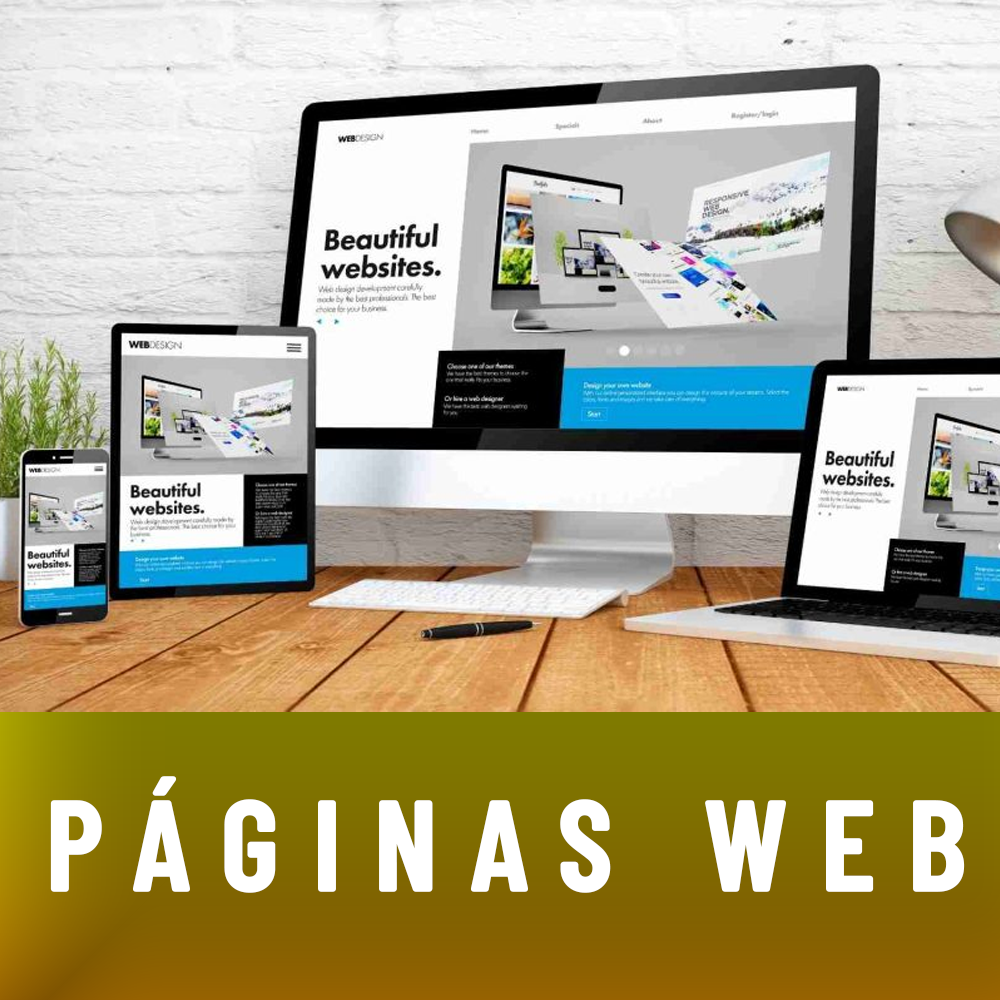 DISEÑO DE PÁGINA WEB CORPORATIVA - PLAN GO PLUS